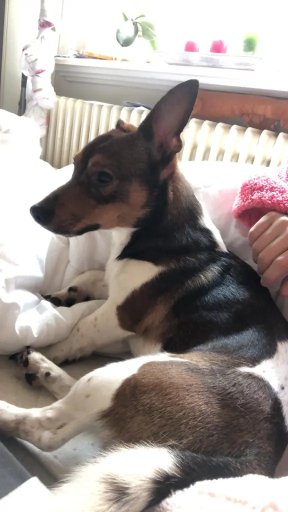 Condolence image of Pasquale 