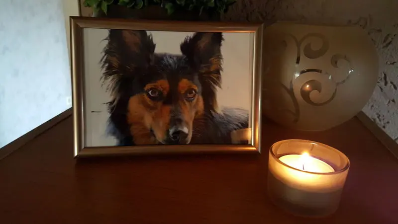 Andachtsbild von Bianca Funke