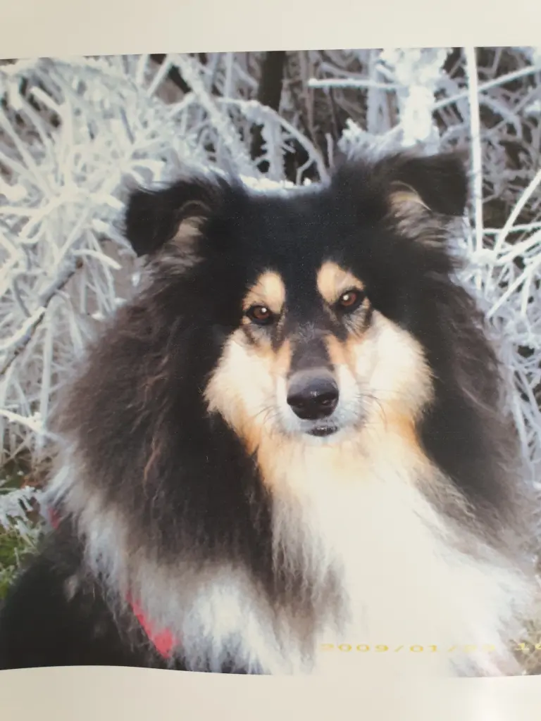 Andachtsbild von Ilona