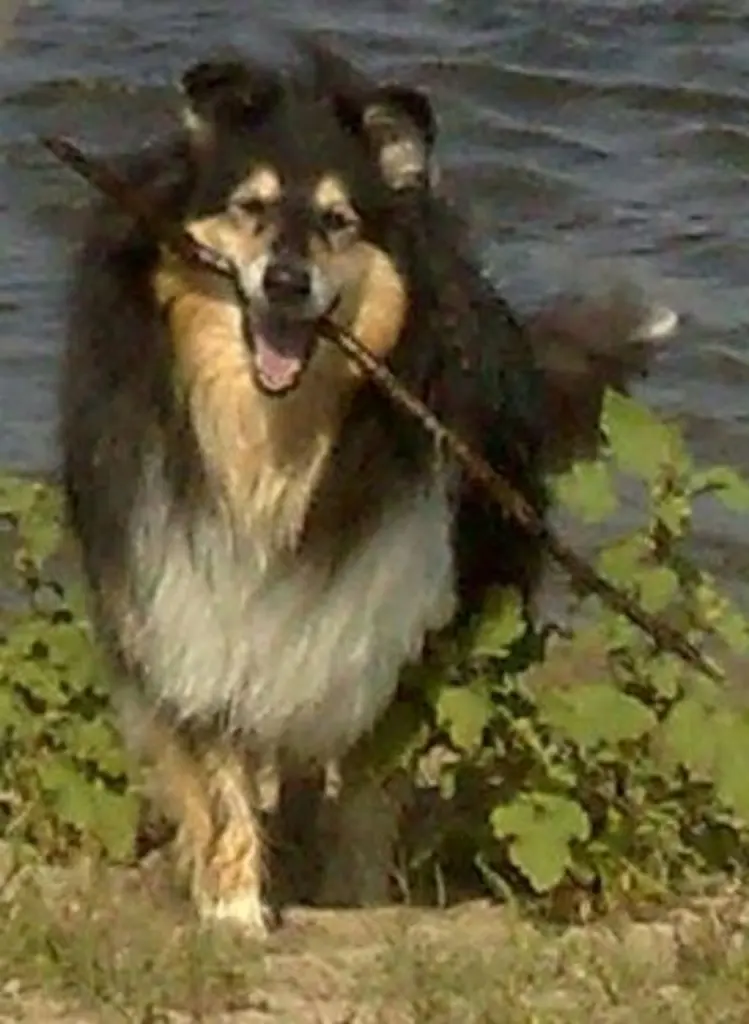 Andachtsbild von Edda