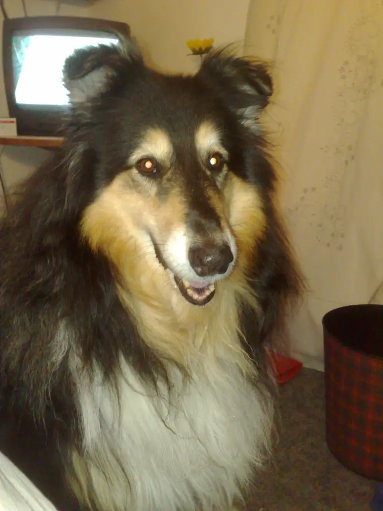 Andachtsbild von Edda mit Clinton im Herzen