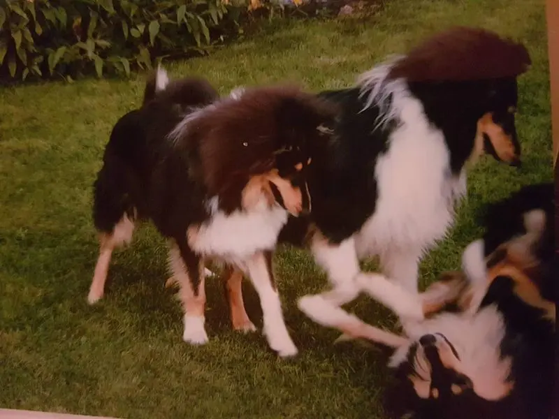 Andachtsbild von Manon