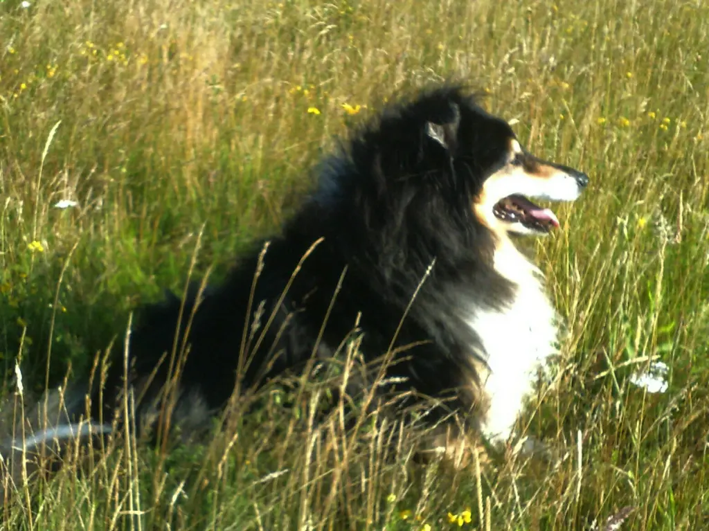 Andachtsbild von Edda