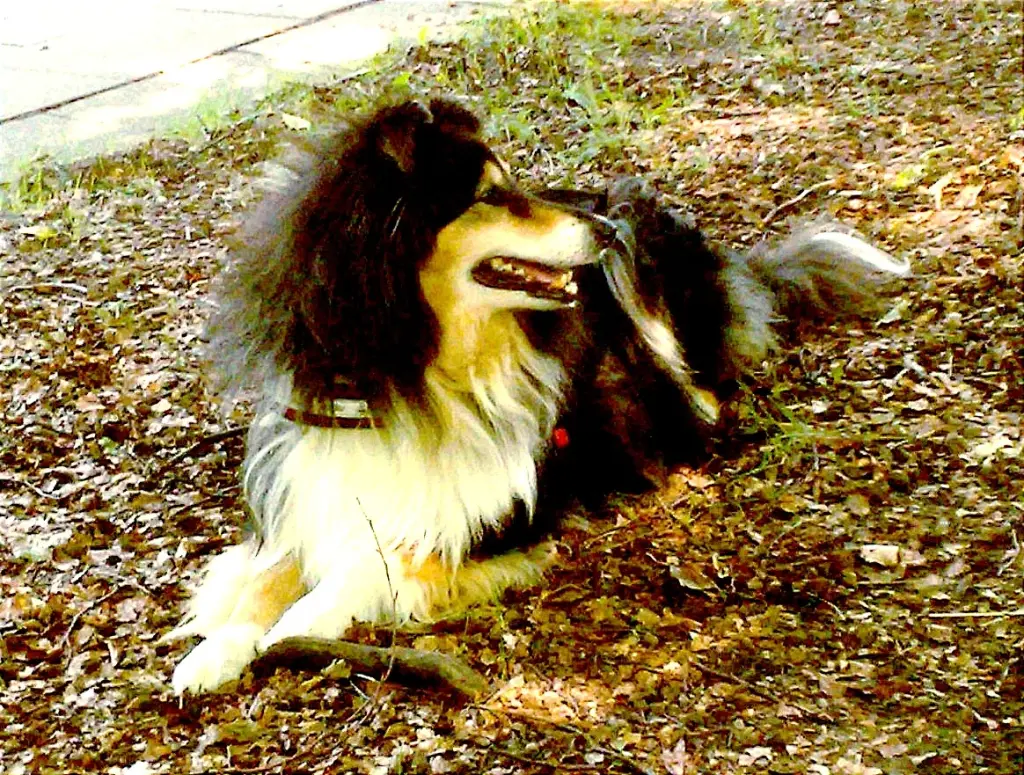 Andachtsbild von Edda