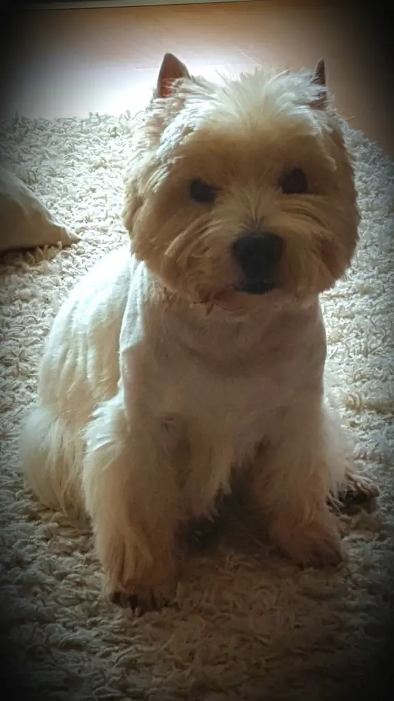 Condolence image of Unbekannt