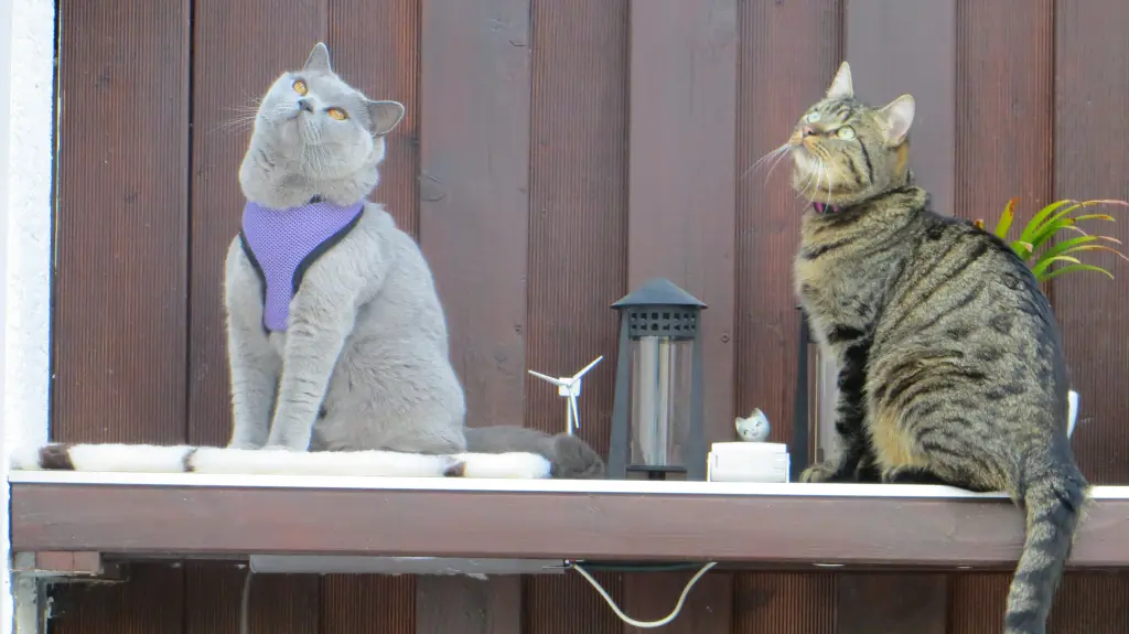 Condolence image of Mama und Papa