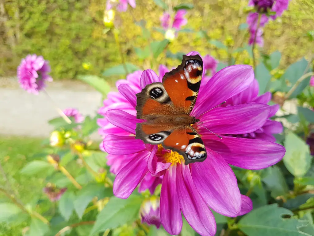 Condolence image of Annette