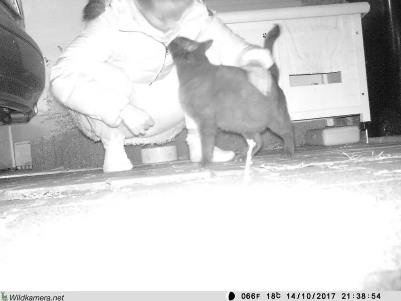 Condolence image of Carmen und Mario