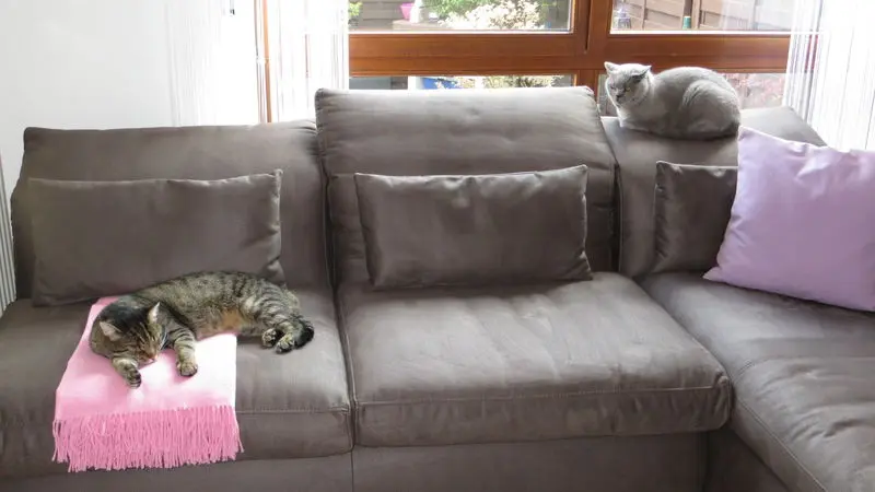 Condolence image of Carmen, Ravis Mama