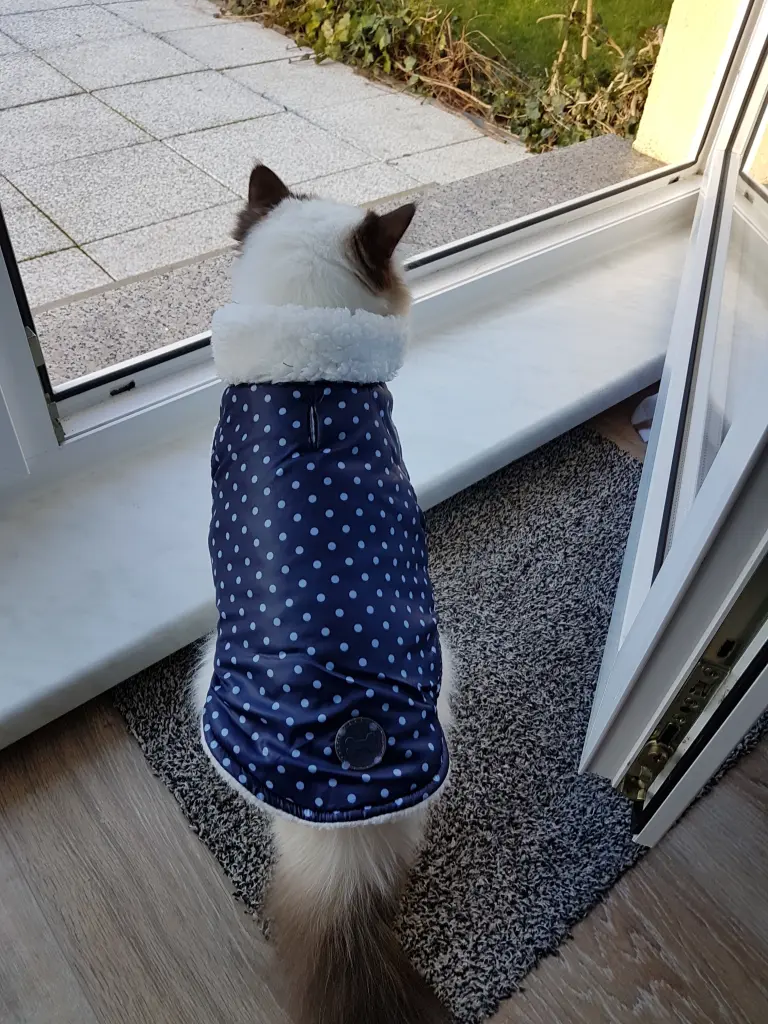 Condolence image of Martina Blümke