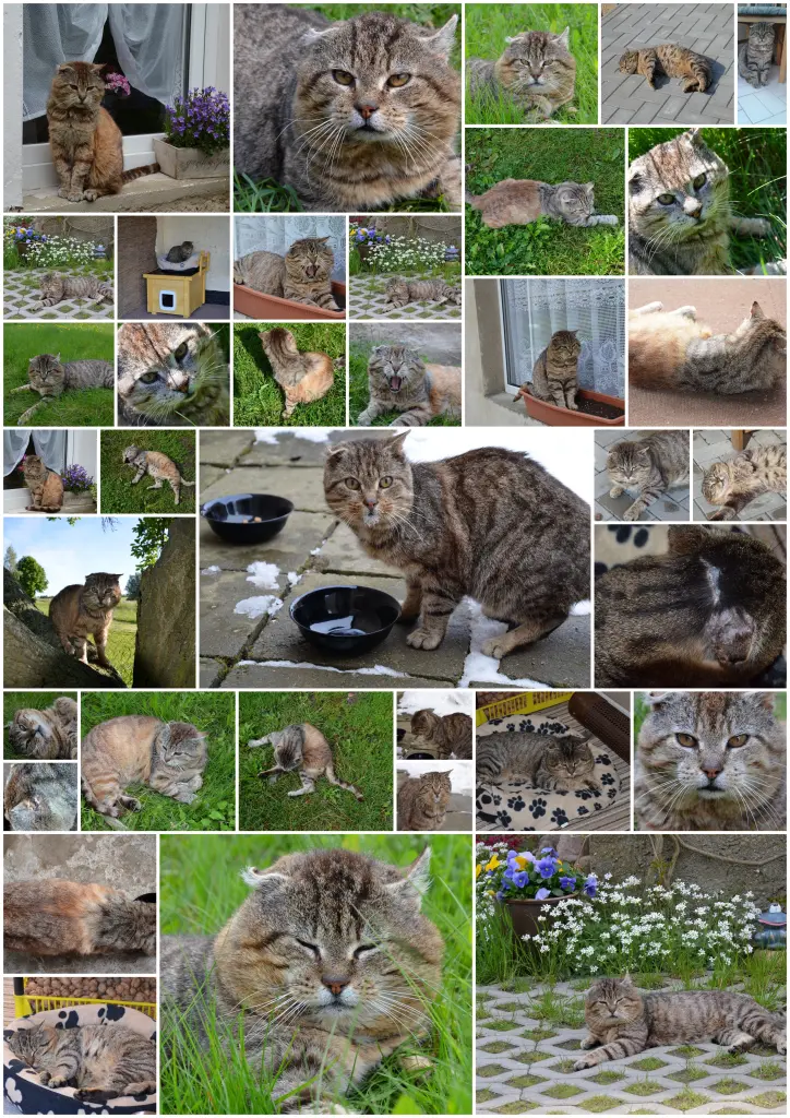 Condolence image of Martina Blümke