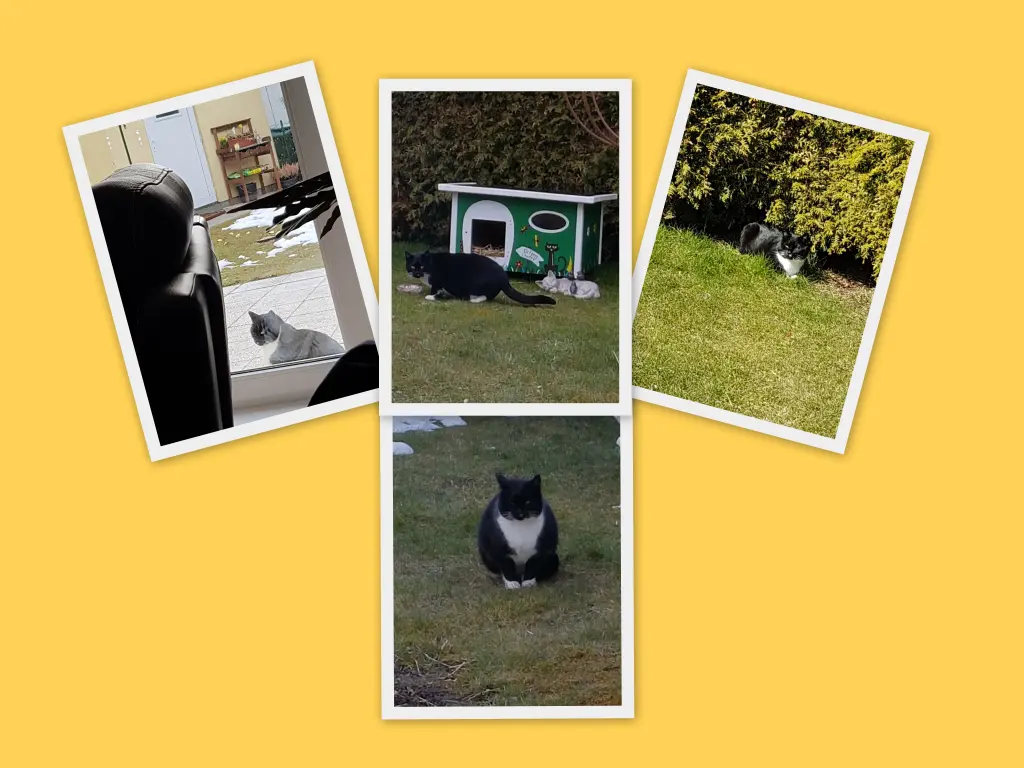 Condolence image of Martina Blümke