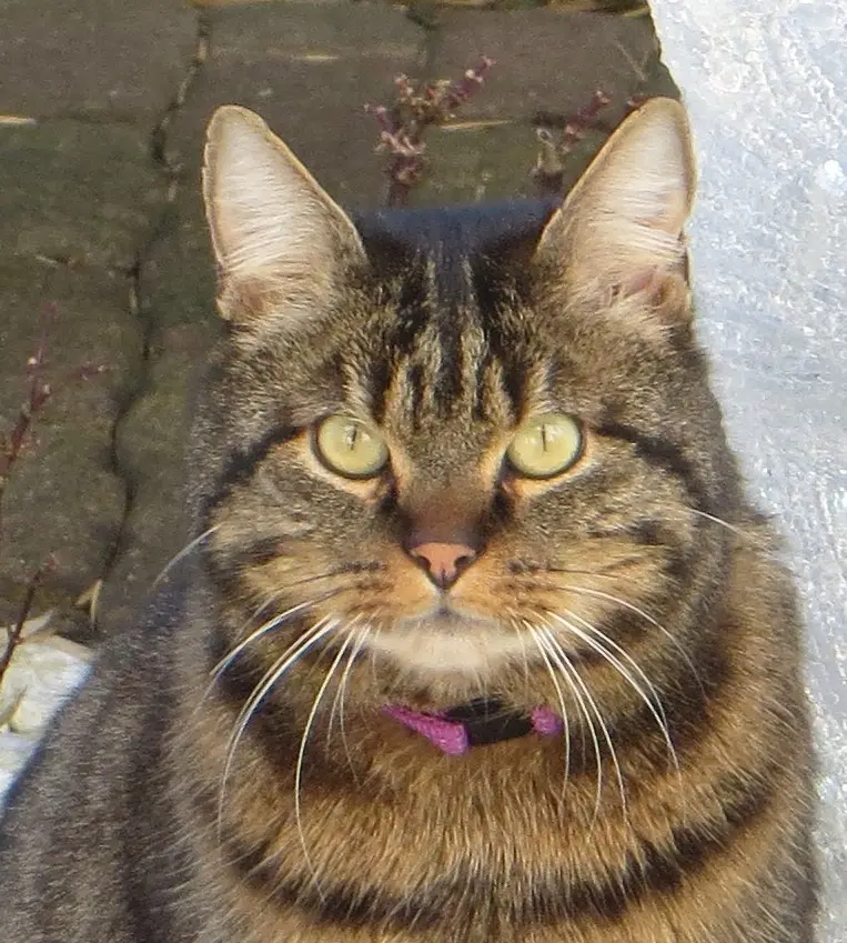 Condolence image of Mama und Papa