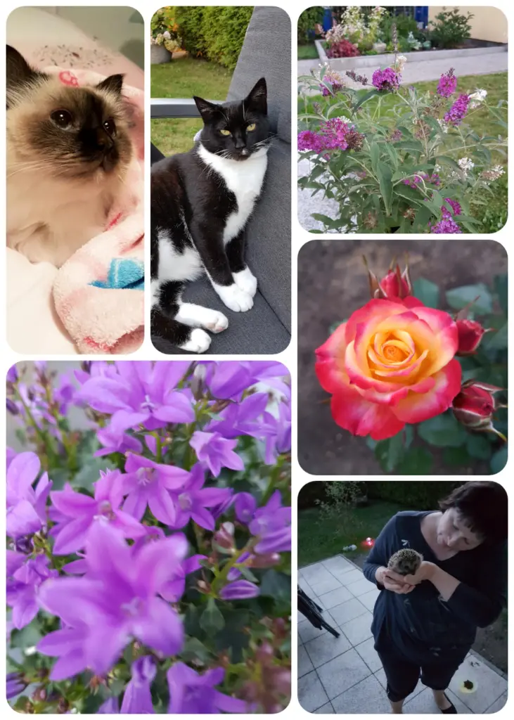 Condolence image of Martina Blümke