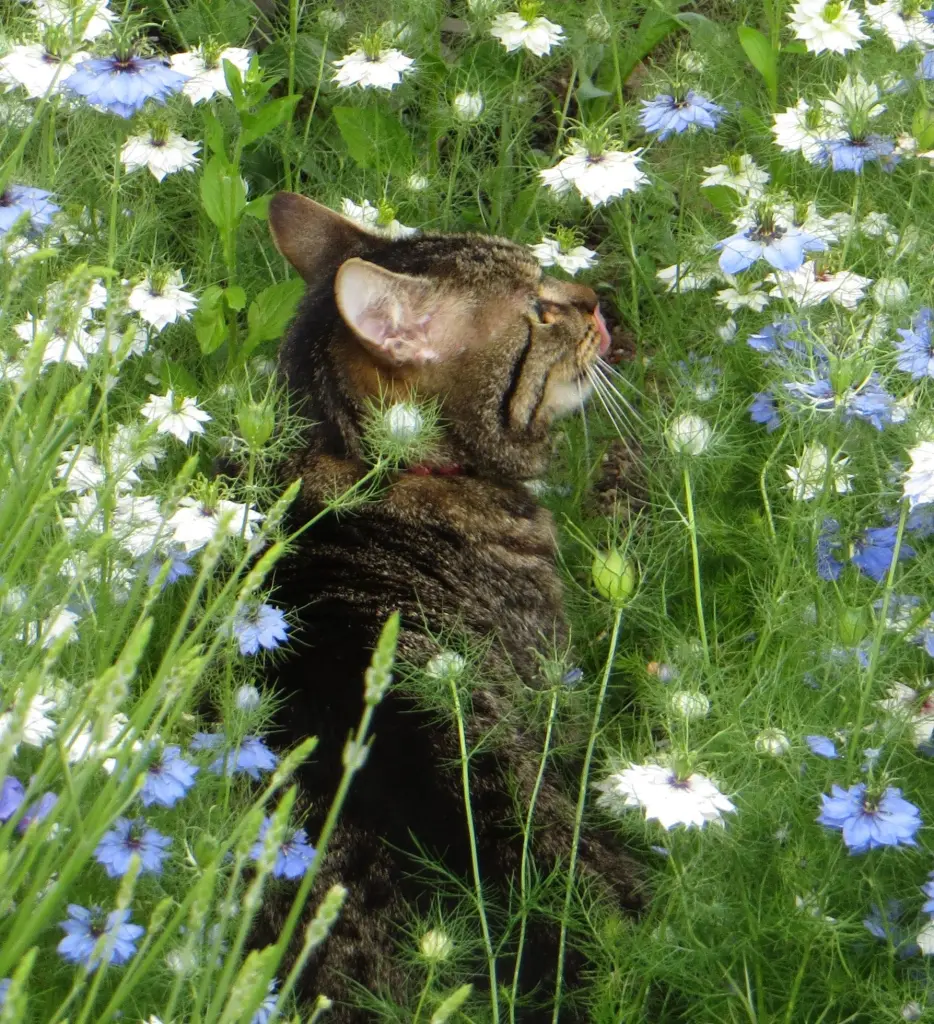 Condolence image of Carmen und Mario
