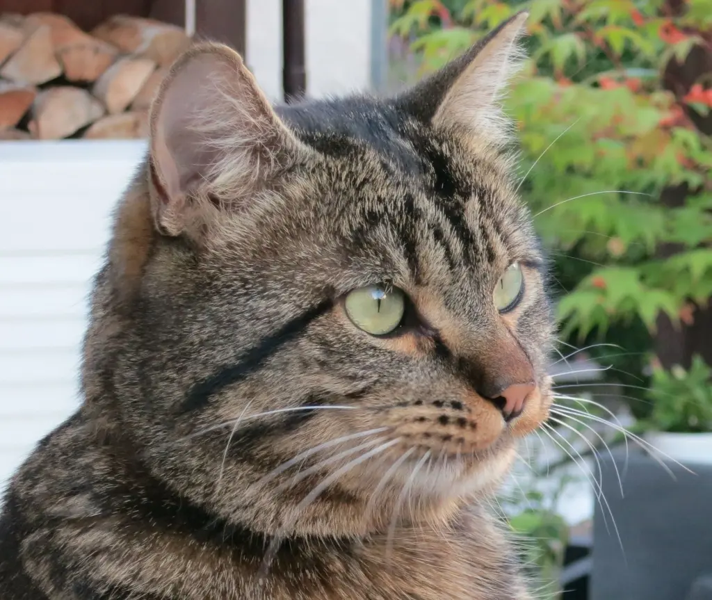 Condolence image of Carmen und Mario