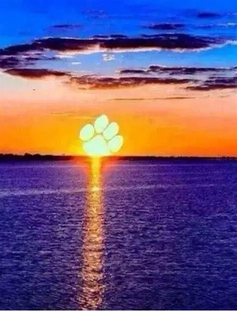 Condolence image of Ravis Mama