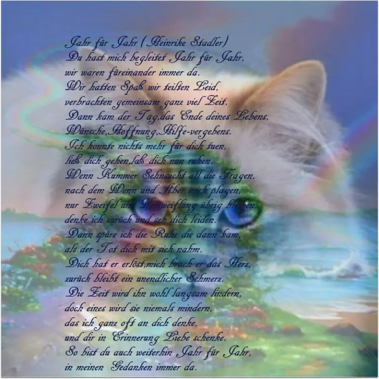 Condolence image of Martina Blümke