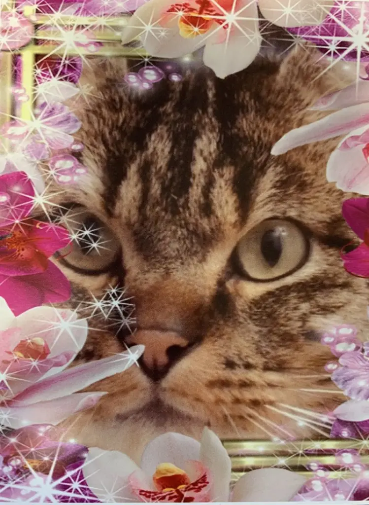 Condolence image of Carmen 