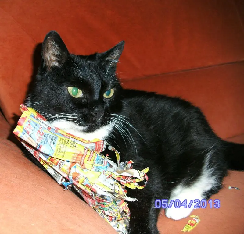 Condolence image of Jeanne - Marie