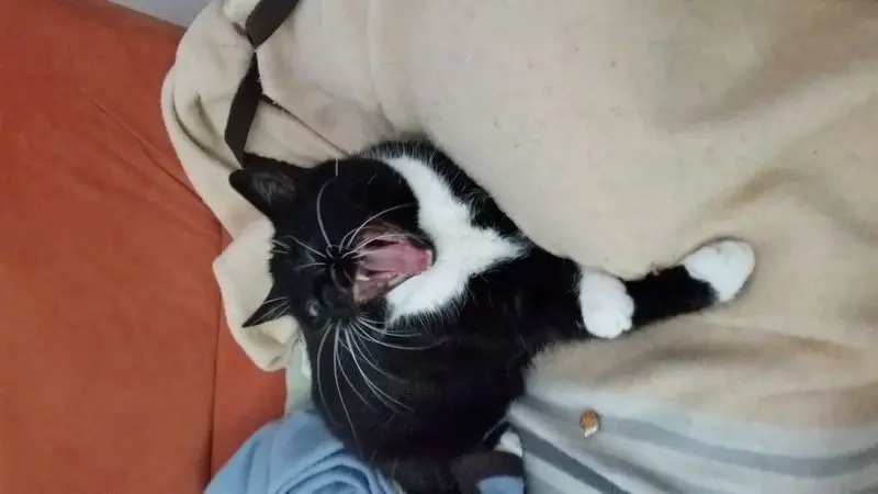 Condolence image of Jeanne - Marie