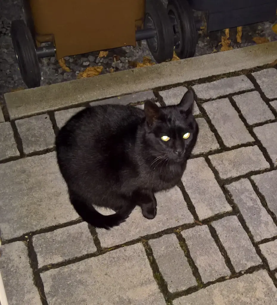 Condolence image of Carmen, Ravis Mama