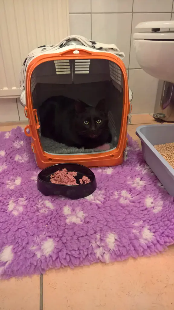 Condolence image of Carmen, Ravis Mama