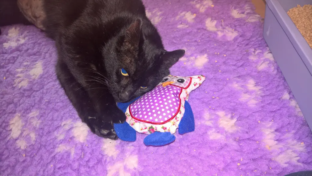 Condolence image of Carmen, Ravis Mama 