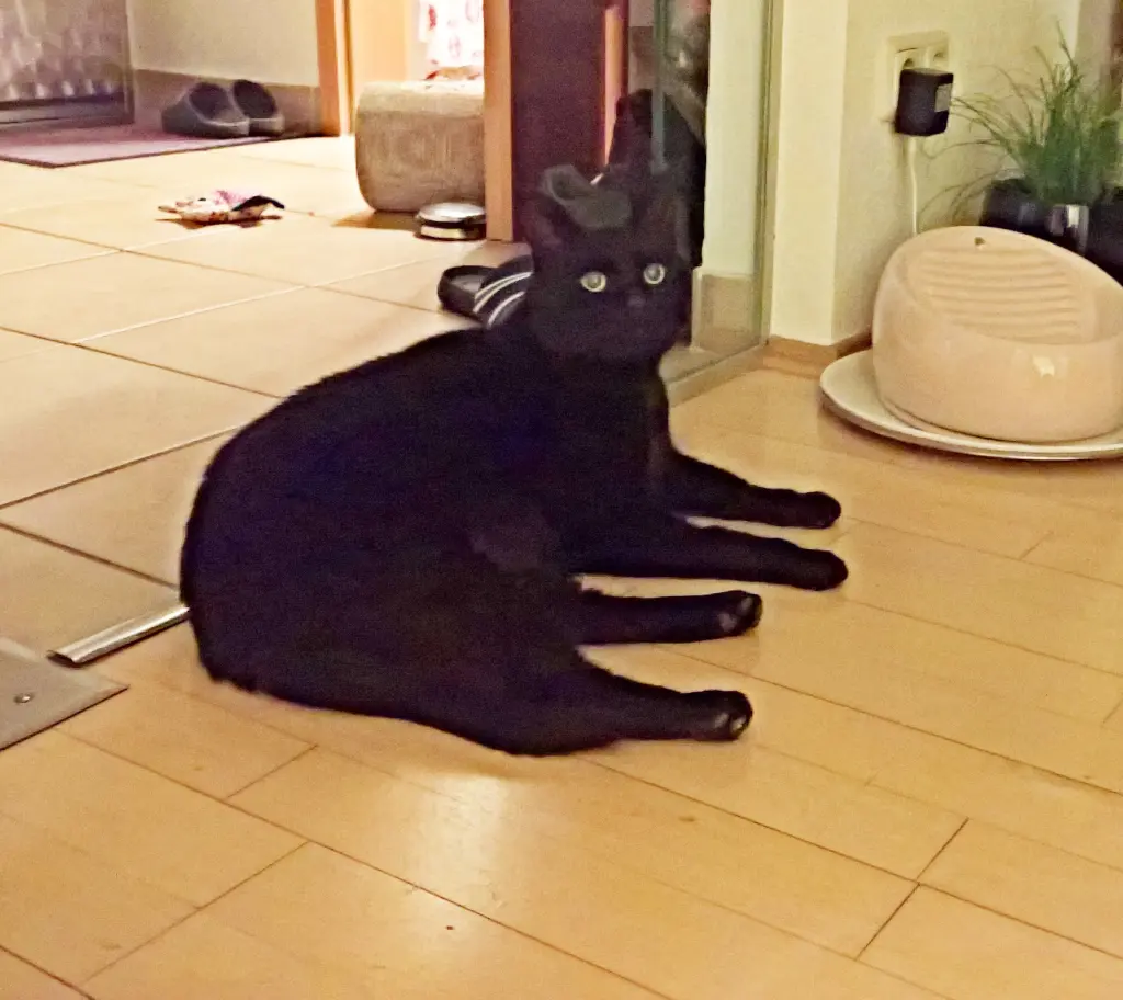 Condolence image of Carmen, Ravis Mama