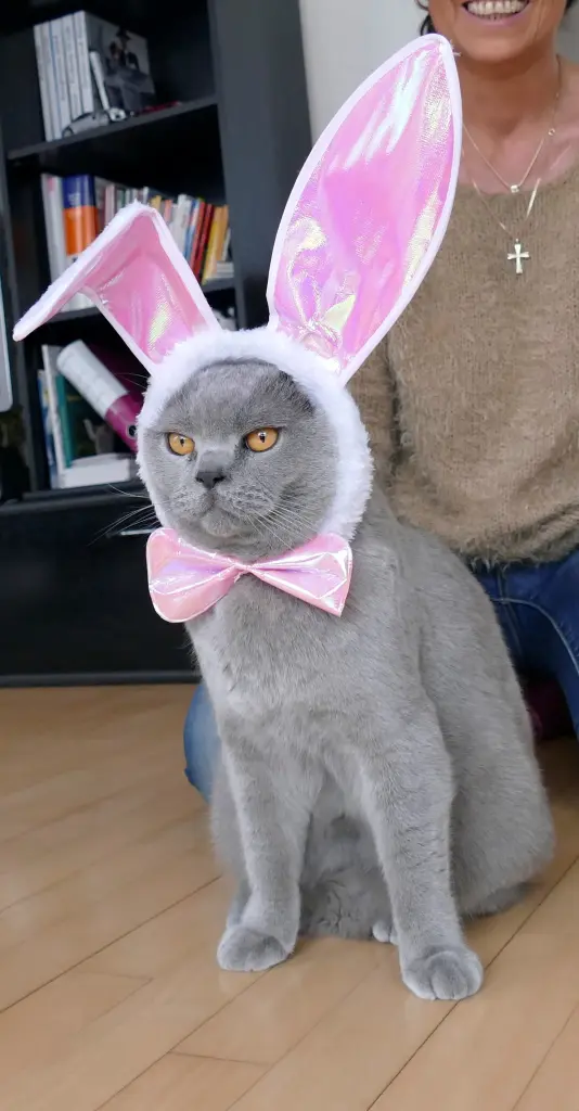 Condolence image of Carmen und Sternenbub Ravi 