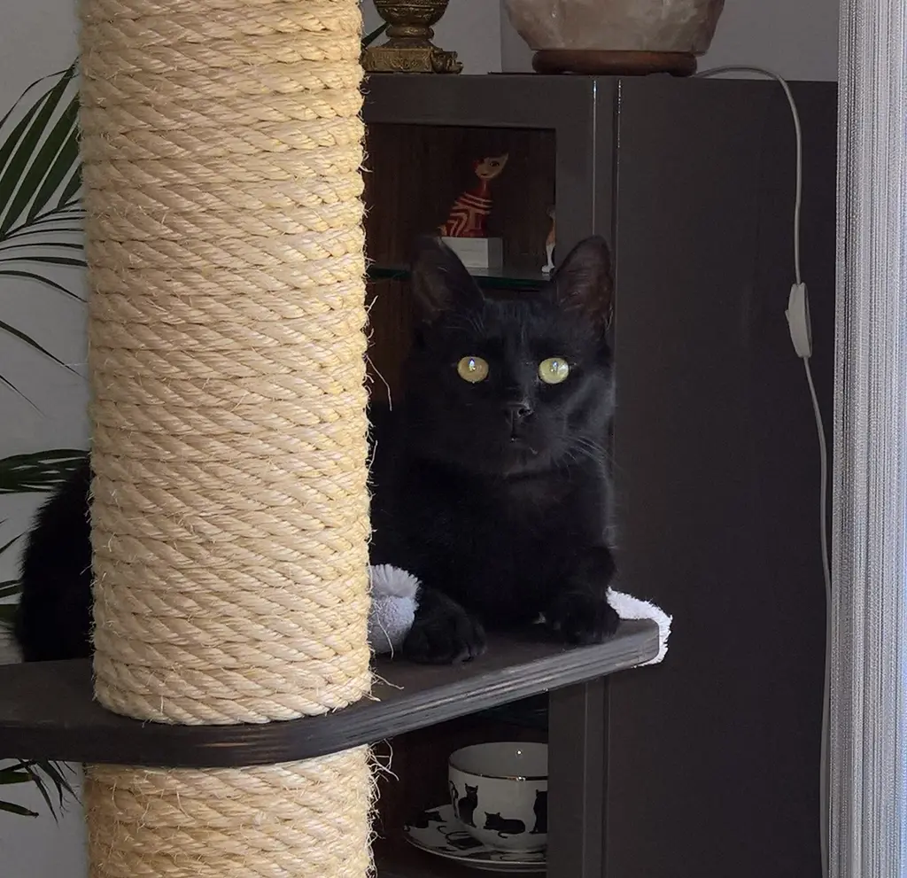 Andachtsbild von Carmen, Ravis Mama