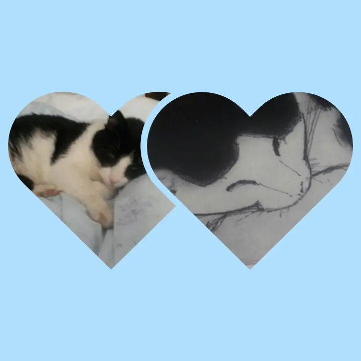 Condolence image of Monika mit Carlo im Herzen 