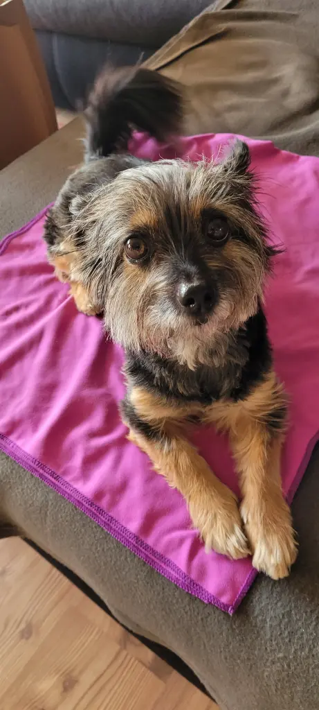 Condolence image of Gabriele Macalla