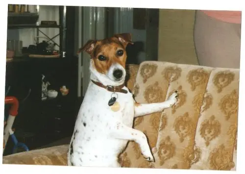 Image from Candy vom ganzen Stolz