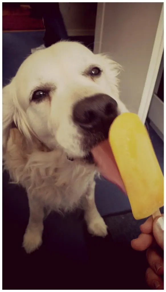 Condolence image of Lisa Klopper