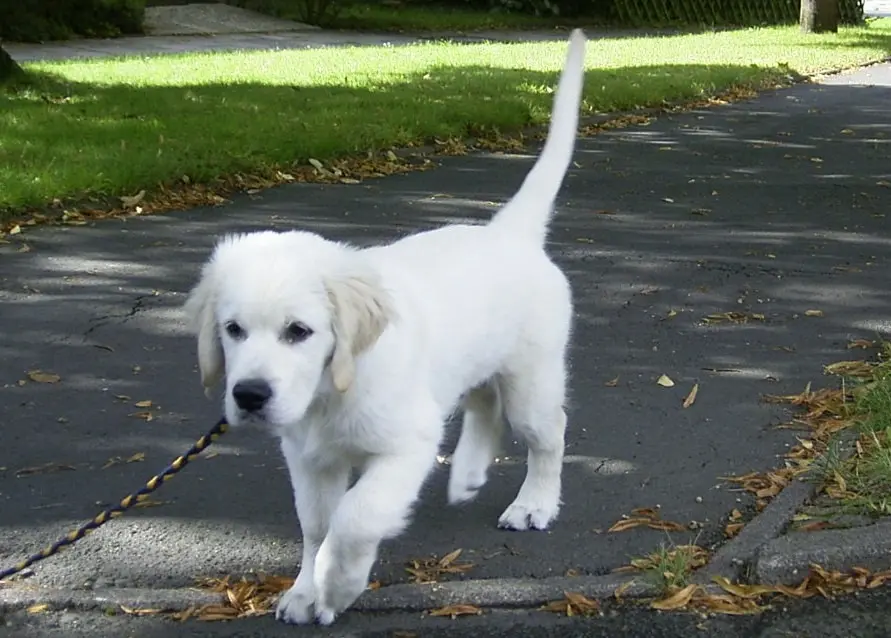 Condolence image of Norbert