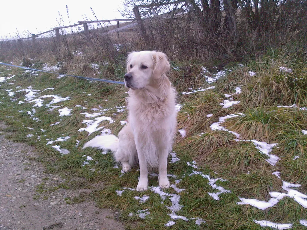 Condolence image of Norbert