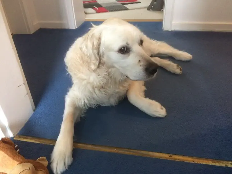 Condolence image of Norbert