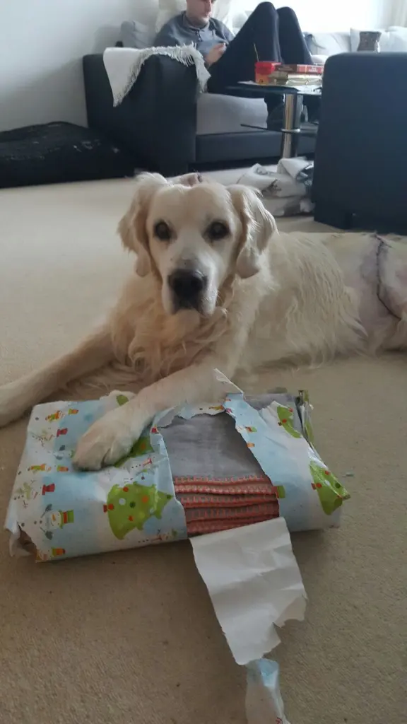 Condolence image of Norbert