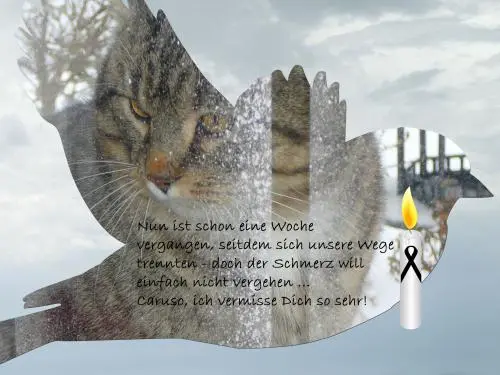 Image from Unbekannt