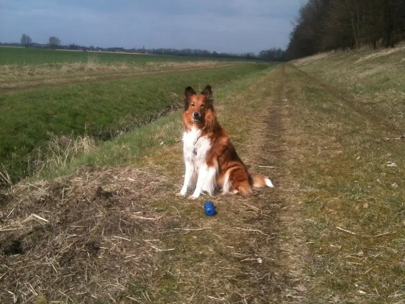 Condolence image of Katharina 