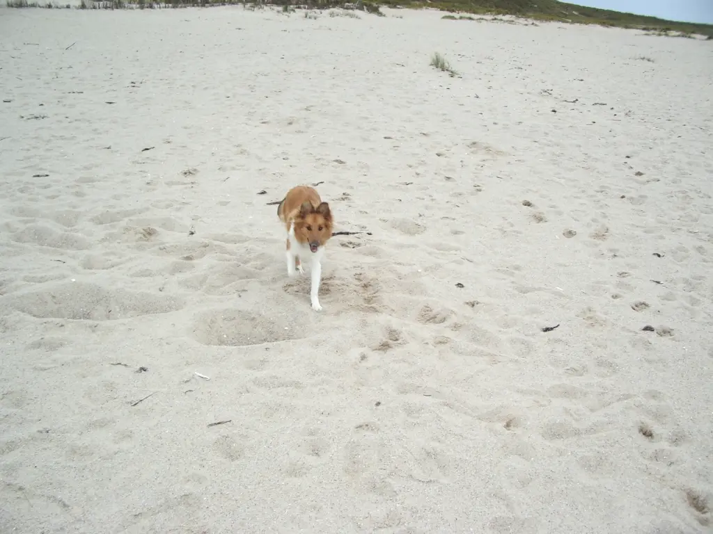 Condolence image of Katharina