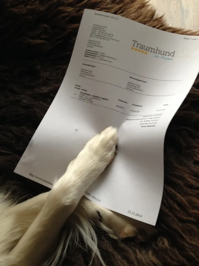 Condolence image of Katharina