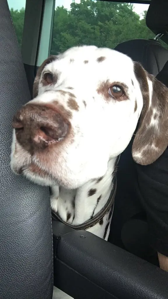 Condolence image of Kerstin mit Eddi