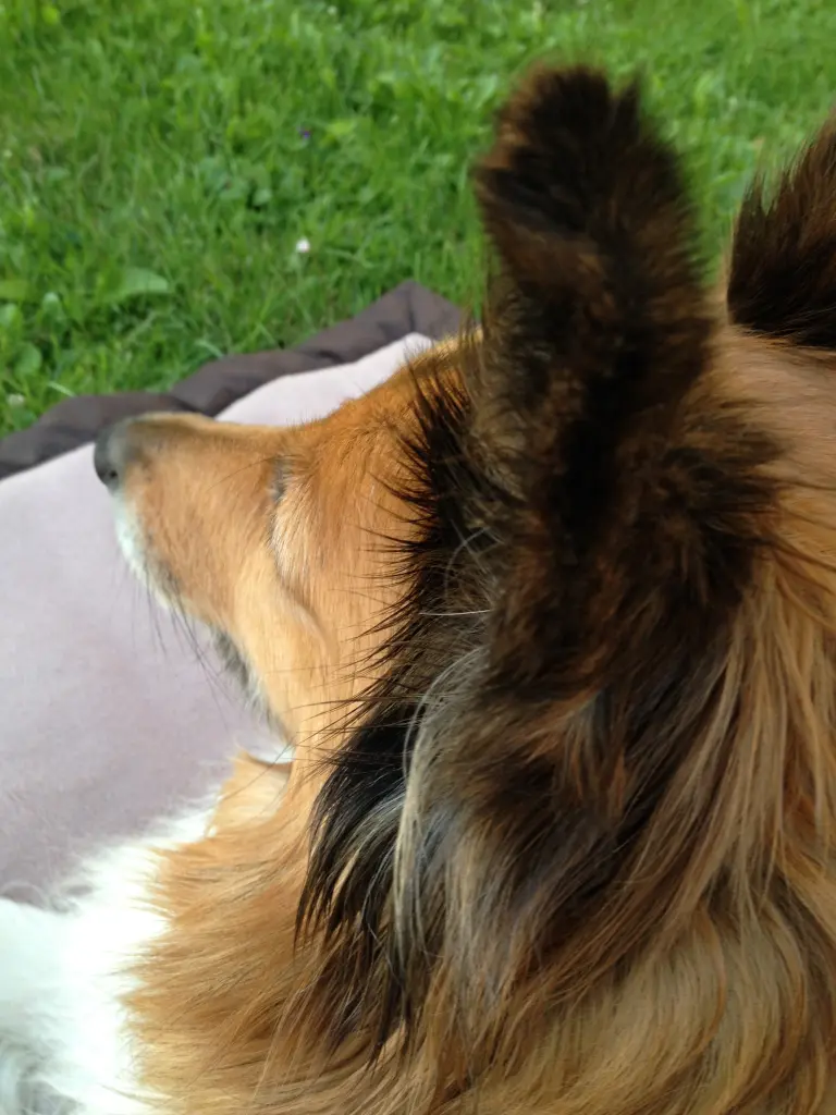 Condolence image of Katharina