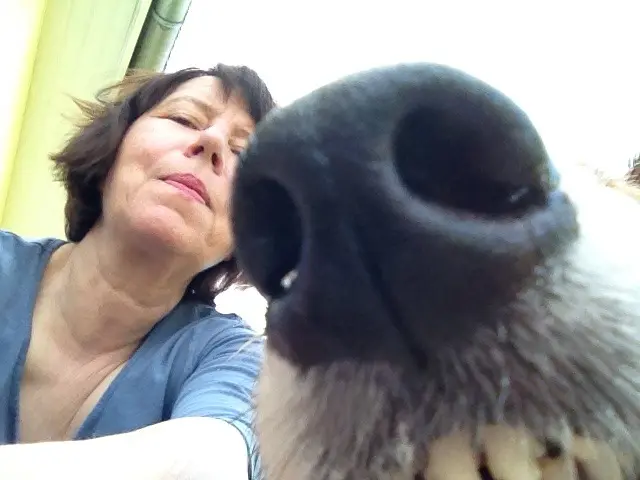 Condolence image of Katharina