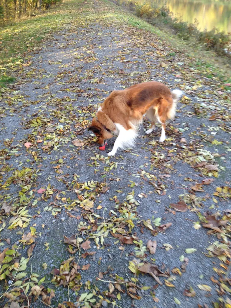 Condolence image of Katharina