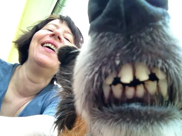 Condolence image of Katharina mit Merle im Herzen