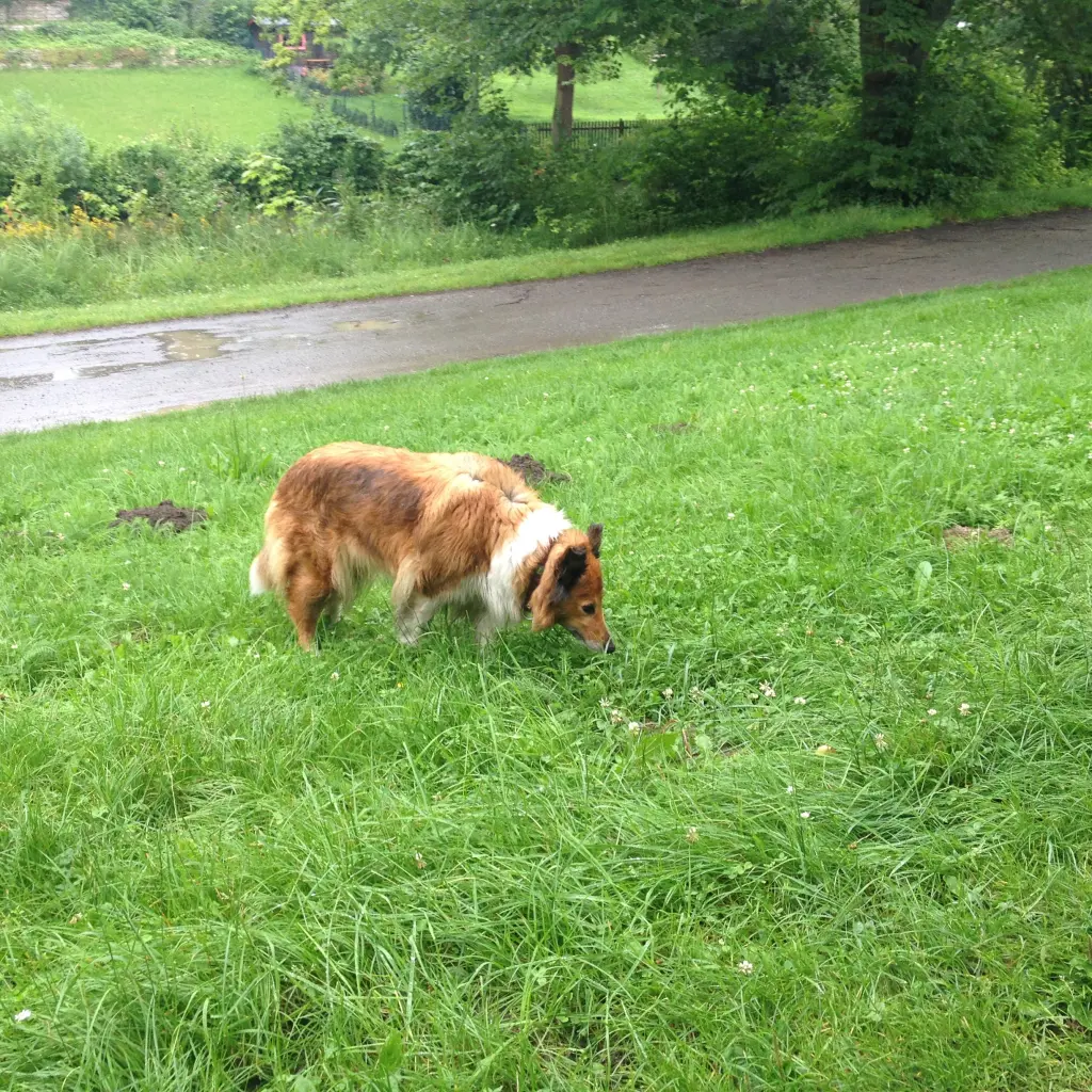 Condolence image of Katharina