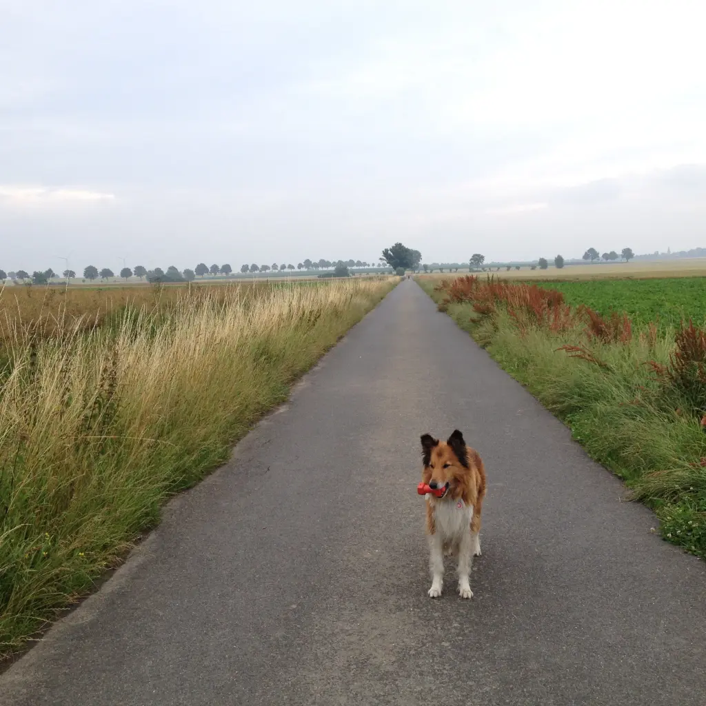 Condolence image of Katharina